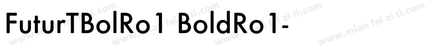 FuturTBolRo1 BoldRo1字体转换